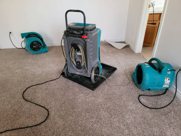 Best Flood damage cleanup  in Lehi, UT