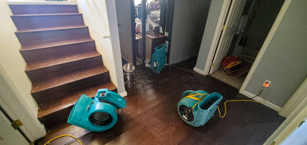 Best Water damage repair service  in Lehi, UT