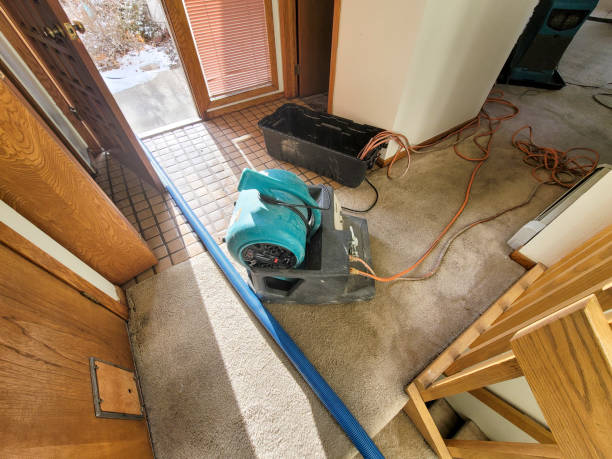  Lehi, UT Water damage restoration Pros