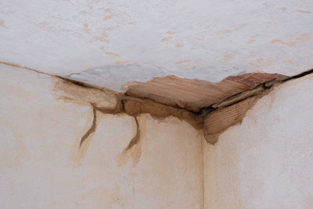 Best Water damage restoration process  in Lehi, UT