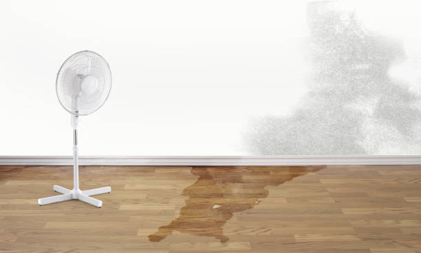 24/7 water damage repair in UT