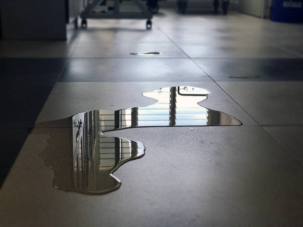 Best Carpet water damage restoration  in Lehi, UT