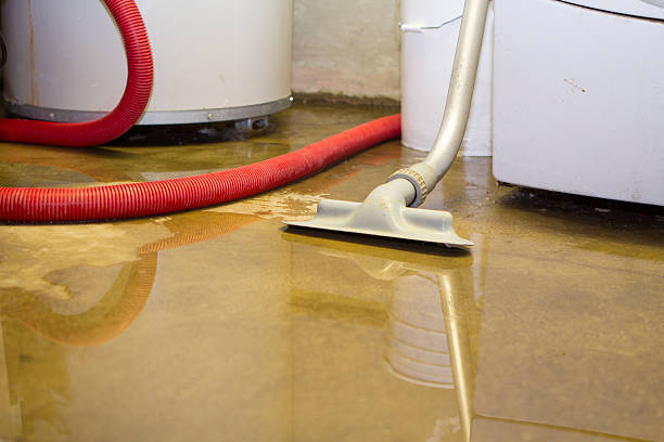 Best Fire Damage Restoration  in Lehi, UT